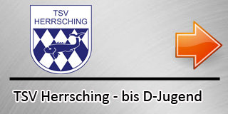 TSV Herrsching bis D-Jugend