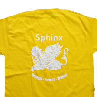 MIS PE T-Shirt Sphinx, sunflower 128